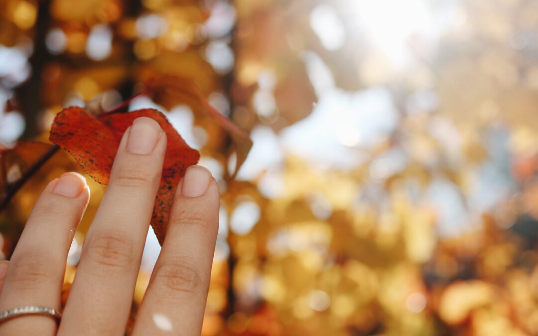 fall engagement guide